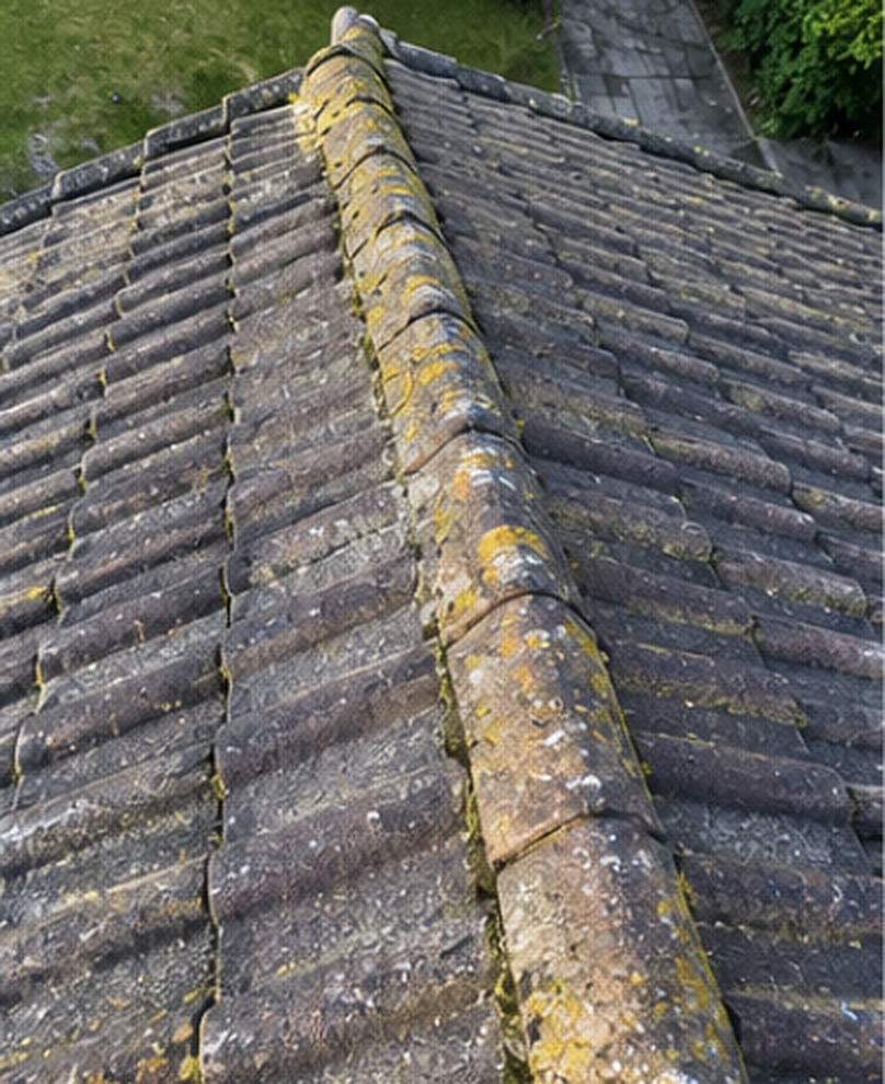 Ridge tiles covered in moss and lichen